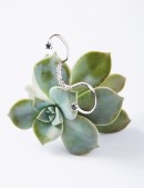 Ring•Fashion Collection   Lingers Ring