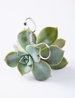 Ring•Fashion Collection   Lingers Ring