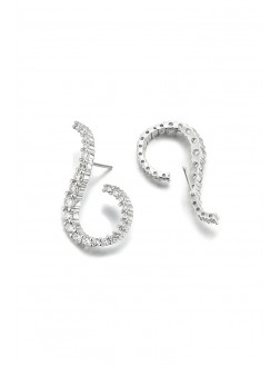Earrings• Fashion Collection moon light earrings