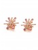 Earrings•Firework Collection Firework Clip-on Earrings